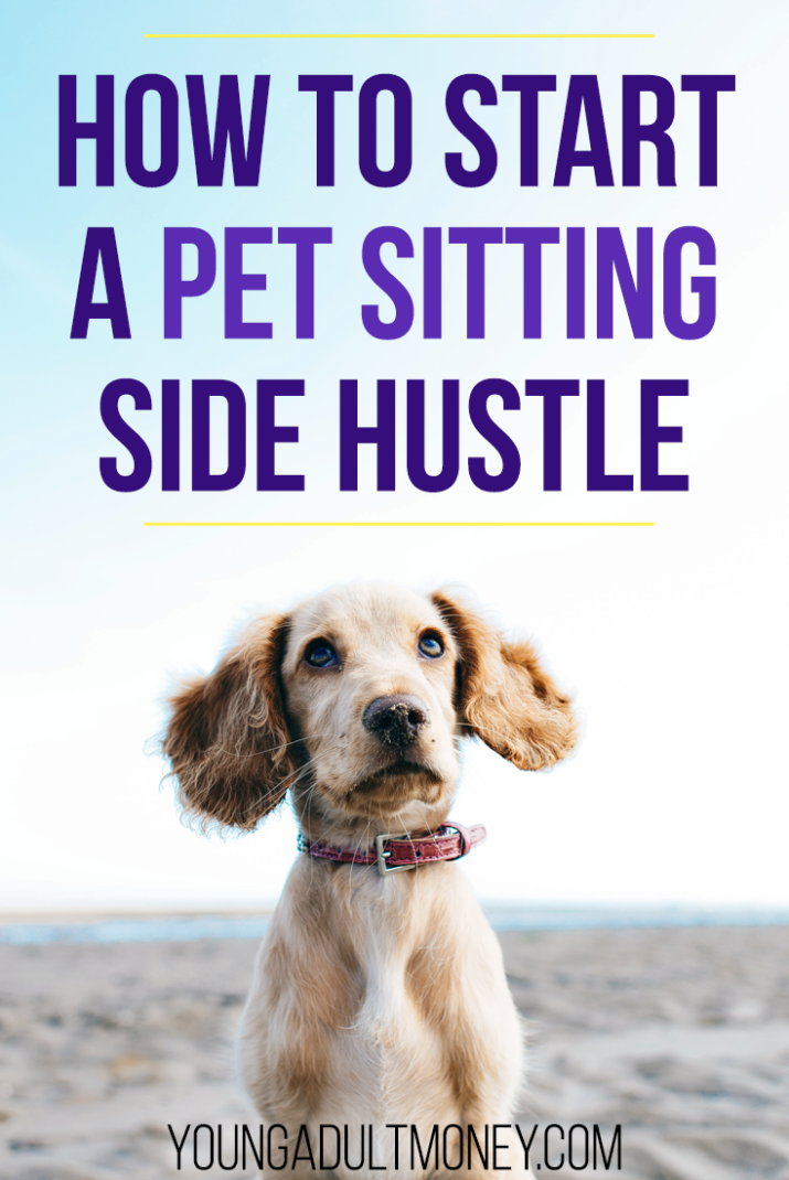 Are you passionate about animals and would like to make extra money? Let’s cover who should consider pet-sitting, and how to get started.