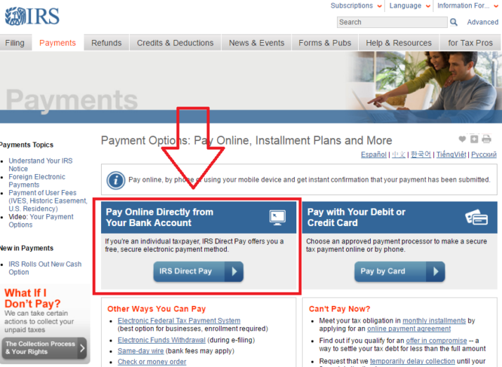 IRS Payments Website