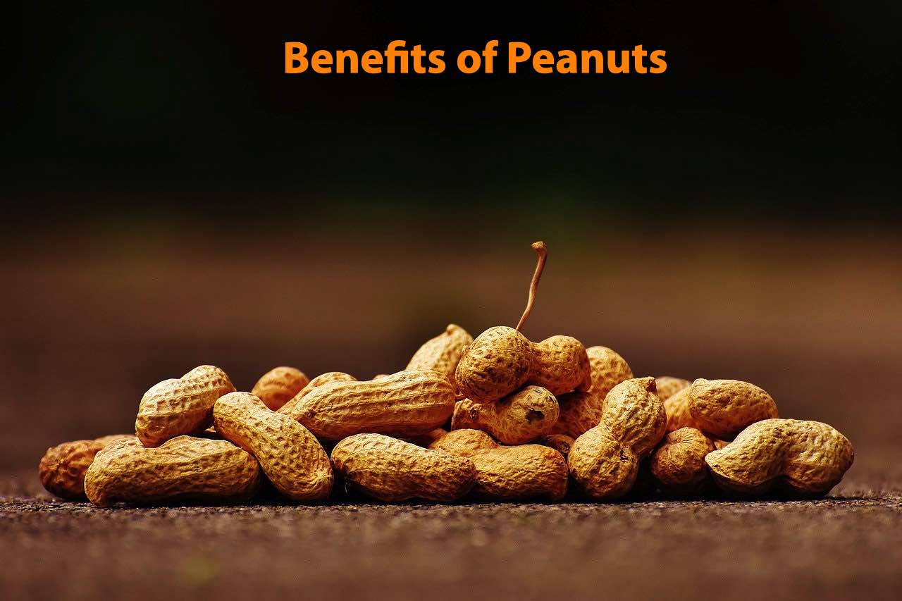 Benefits of Peanuts